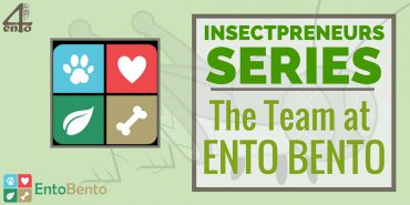Insectpreneurs Series: The Team at Ento Bento