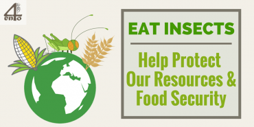 How Insects Can Help Preserve Our Resources & Increase Global Food Security