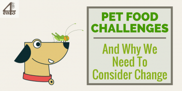 Pet Food Challenges – And Why We Need to Change